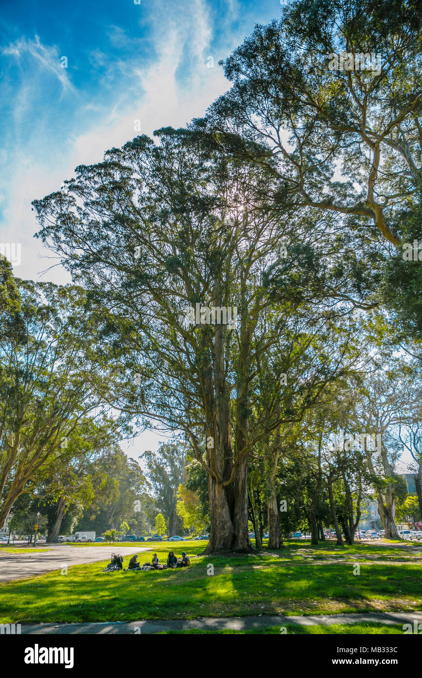 Haight-Ashbury District. Die Nachbarschaft ist für die Herkunft der Hippie Zähler Kultur bekannt. San Francisco. Kalifornien, USA Stockfoto