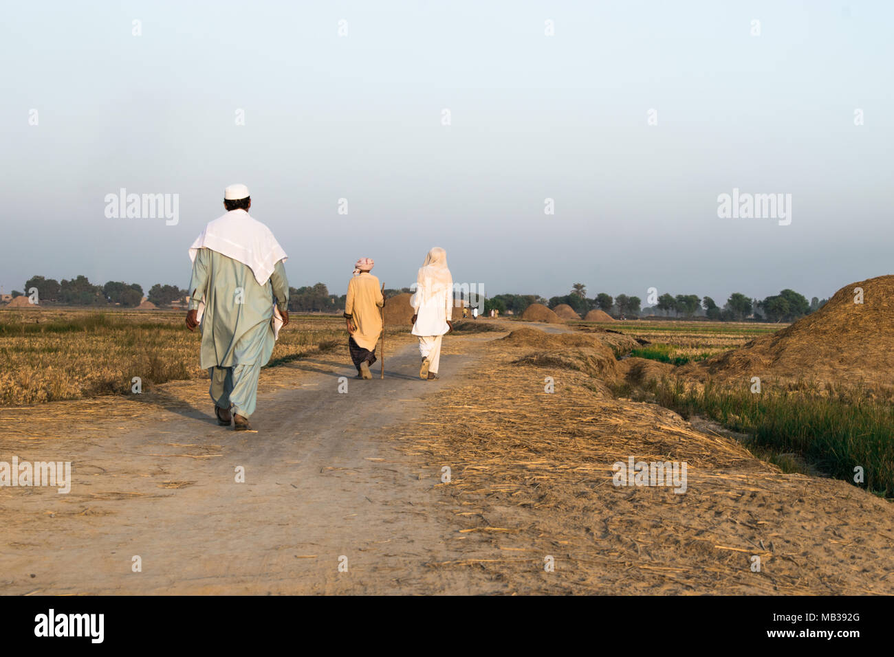 Schlechte drei Pakistanische Dorfbewohner sind auf einer Schotterstraße zwischen der Reisfelder nach der Ernte und Sie tragen Pakistanischen traditionelle Kleidung und gehen Stockfoto