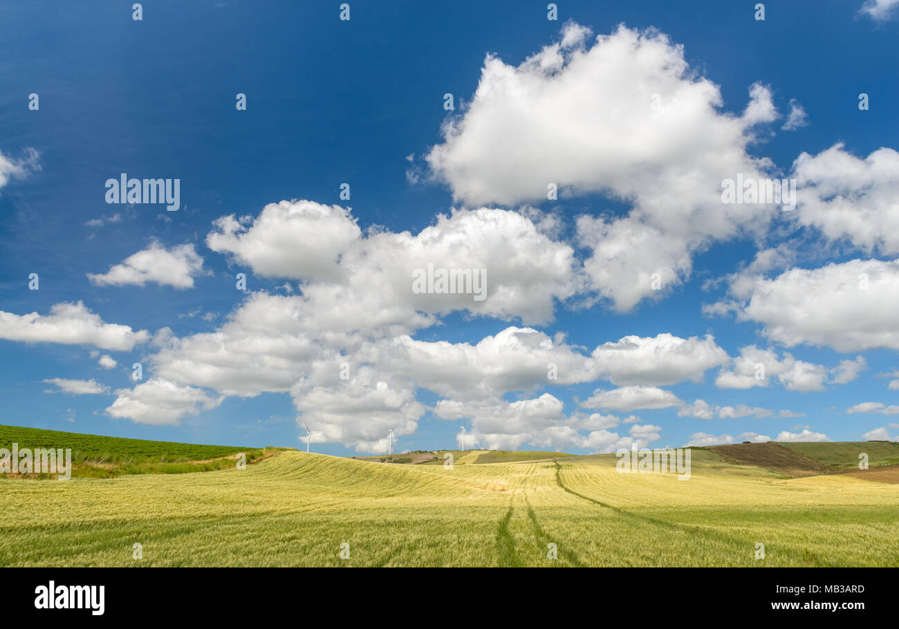 Flauschige cumulus Wolken vor einem azurblauen Mittelmeer Himmel Stockfoto