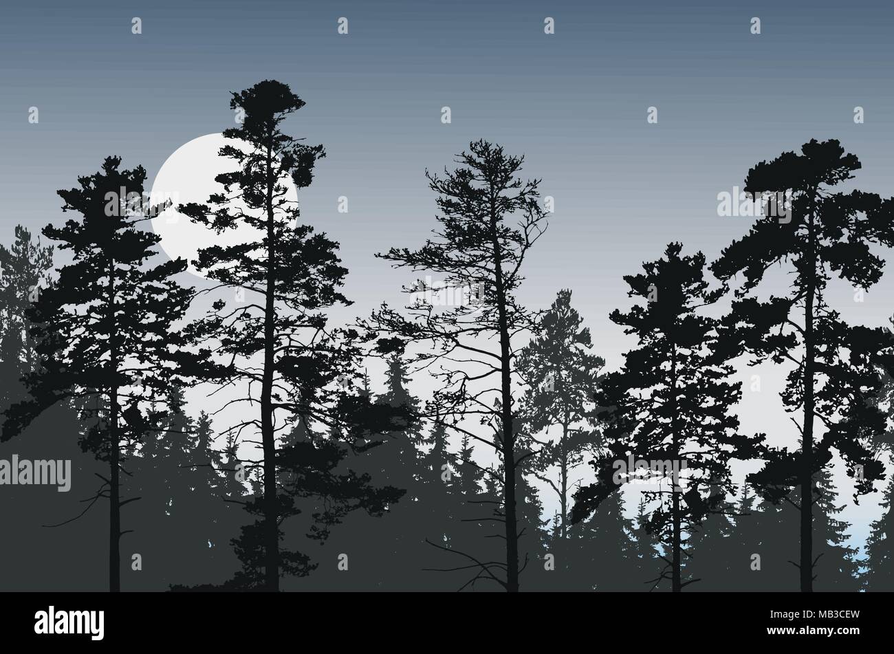 Baum Peaks von Nadelwald unter Sternenhimmel mit vollem Mond oder Sonne-Vektor Stock Vektor