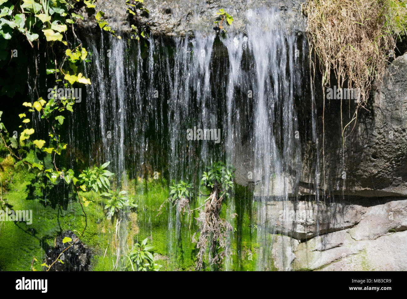 In der Nähe von einem kleinen Wasserfall und Moos wachsen auf Felsen Stockfoto