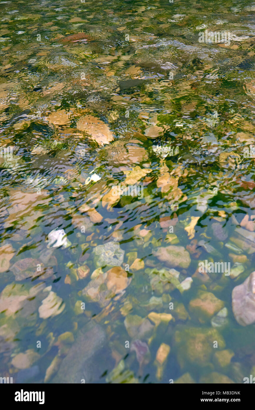Eine felsige Flussbett mit fließend frisches Wasser. Stockfoto