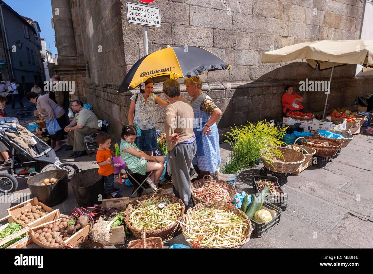 Outdoor Gemüse Anbieter auf dem traditionellen Markt mit Anbieter Stände der Mercado de Abastos de Santiago, Santiago de Compostela, Galicien, Spanien Stockfoto