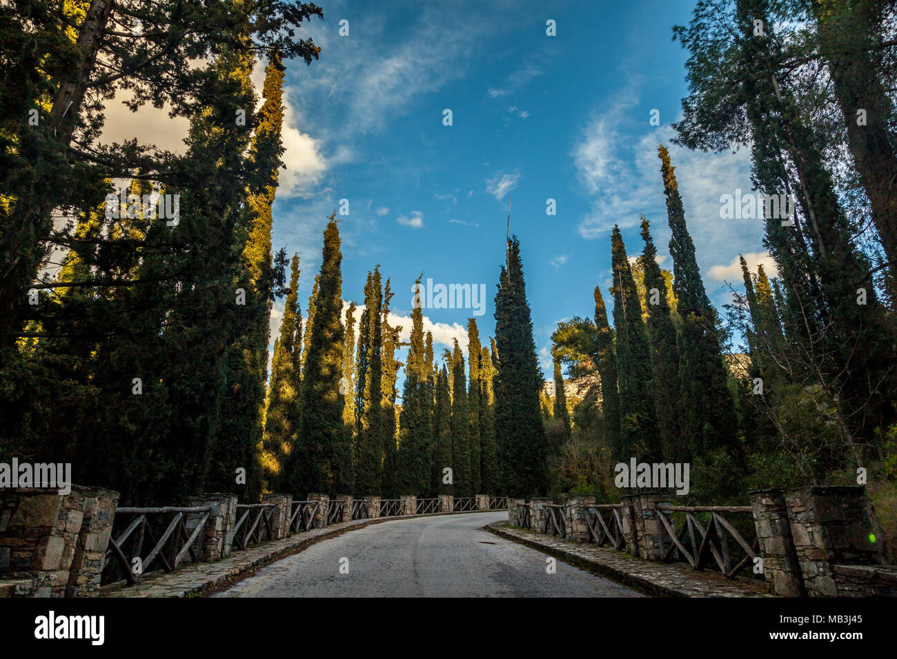 Gasse an der ästhetischen Wald von Kesariani, in Athen, Griechenland Stockfoto