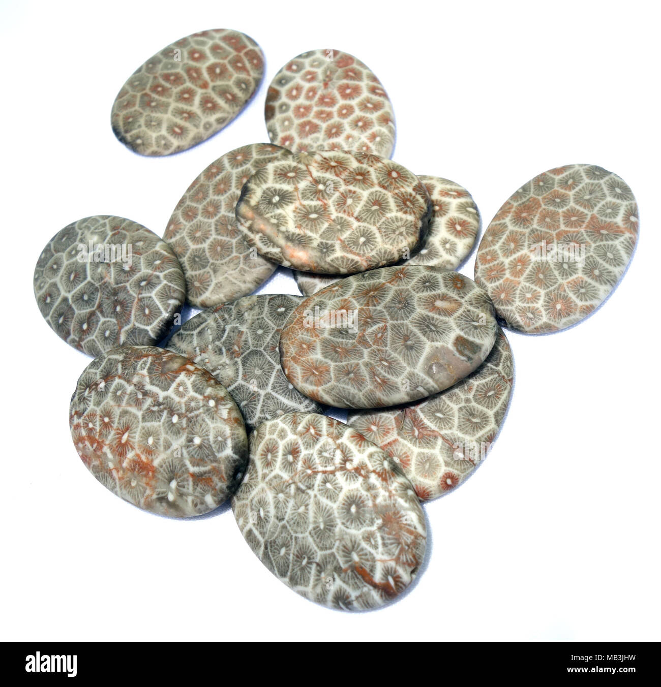 Perlen Schmuck aus poliertem fossilen Korallen Stockfoto
