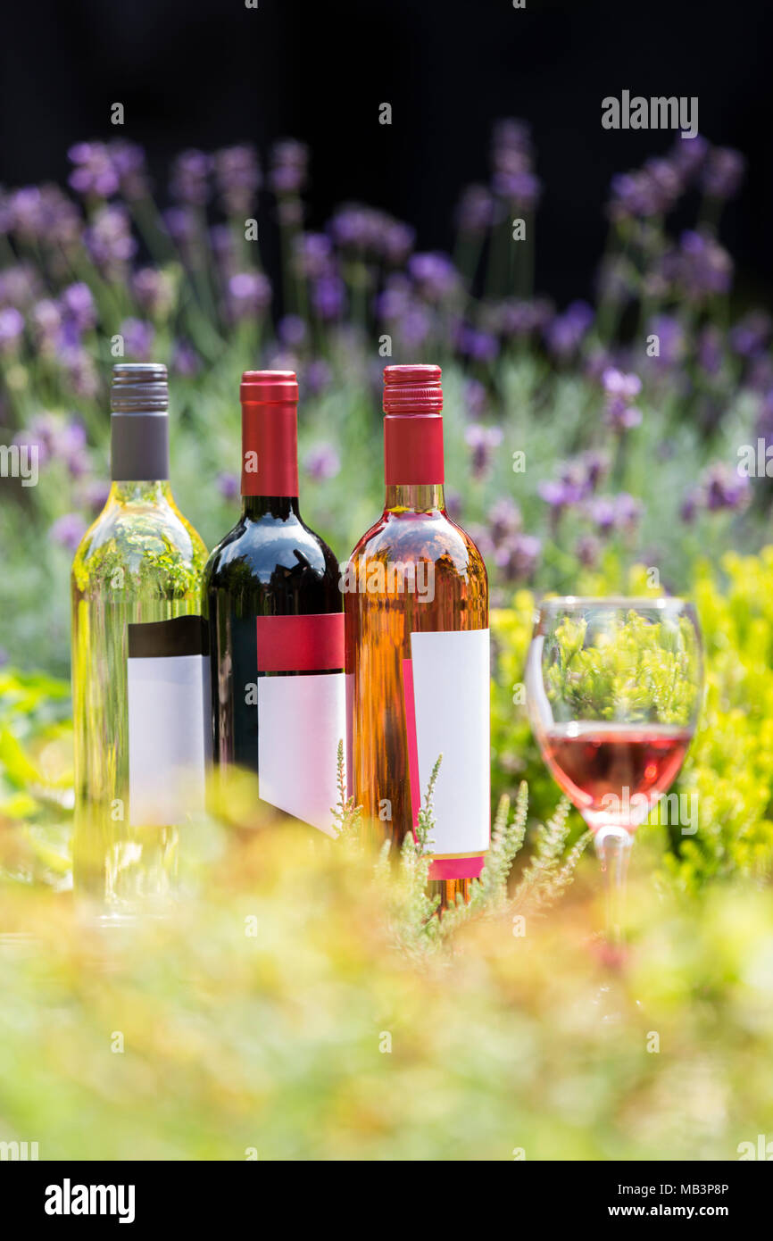 Auswahl an Weiß-, Rot- und Rose Wein mit Glas und Flaschen in unter den Blumen und Lavendel Stockfoto