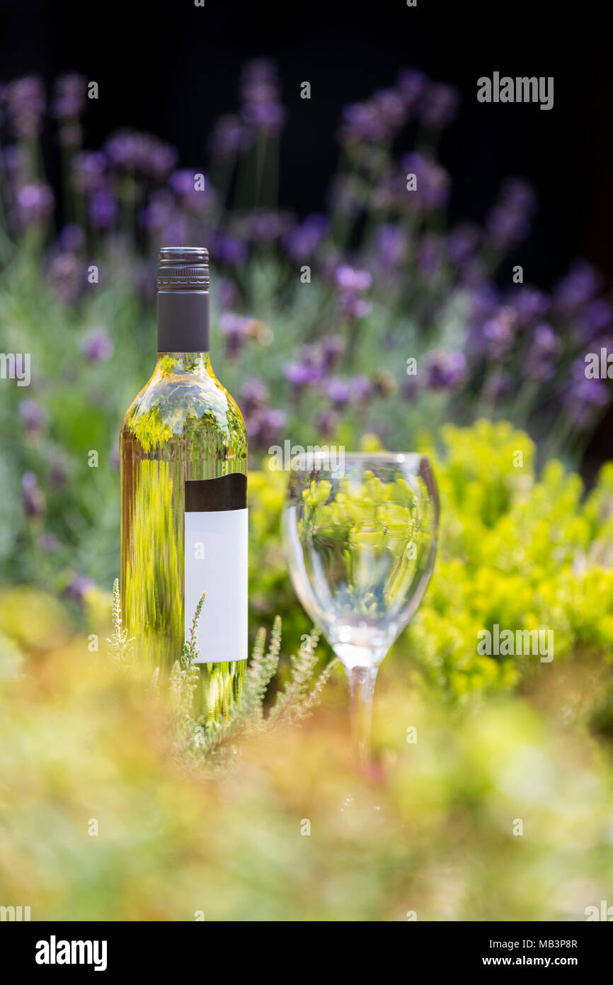 Leere Weißwein Glas mit voller Flasche unter den Blumen Stockfoto