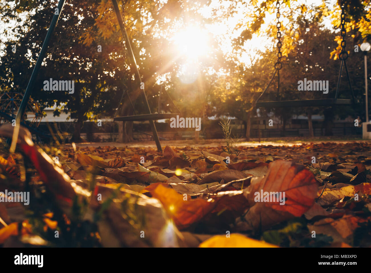 Herbst-Saison Stockfoto