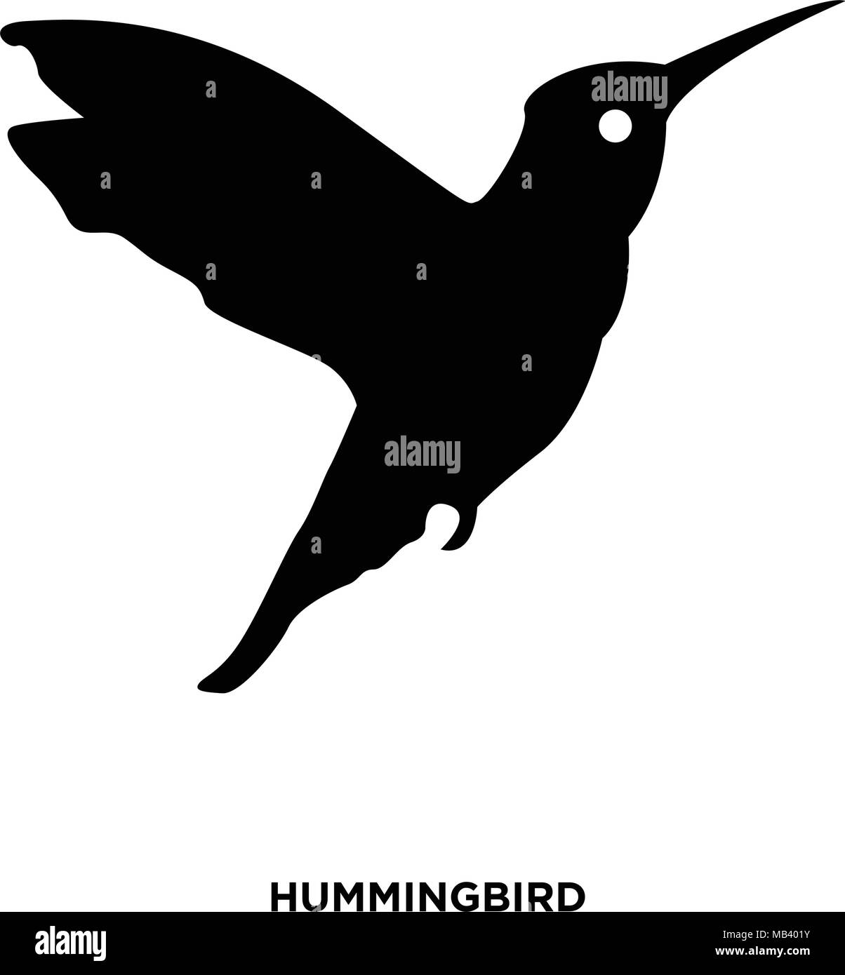 Hummingbird Silhouette auf weißem bbackground, in Schwarz Stock Vektor