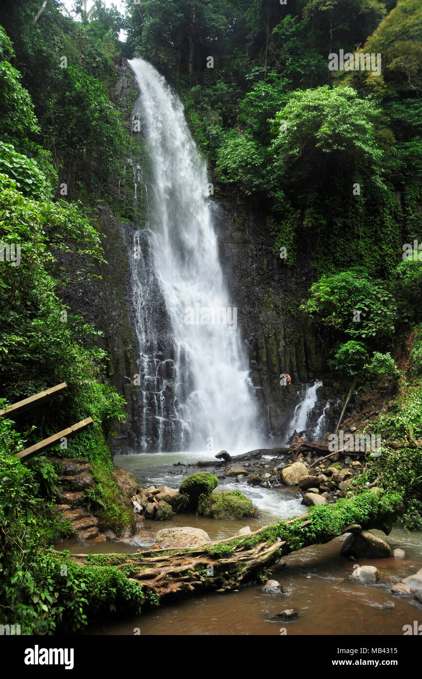 Catarata Zamora ist eine von zwei Kaskaden stürzt das Wasser in Los Chorros Recreation Park in Costa Rica. Stockfoto