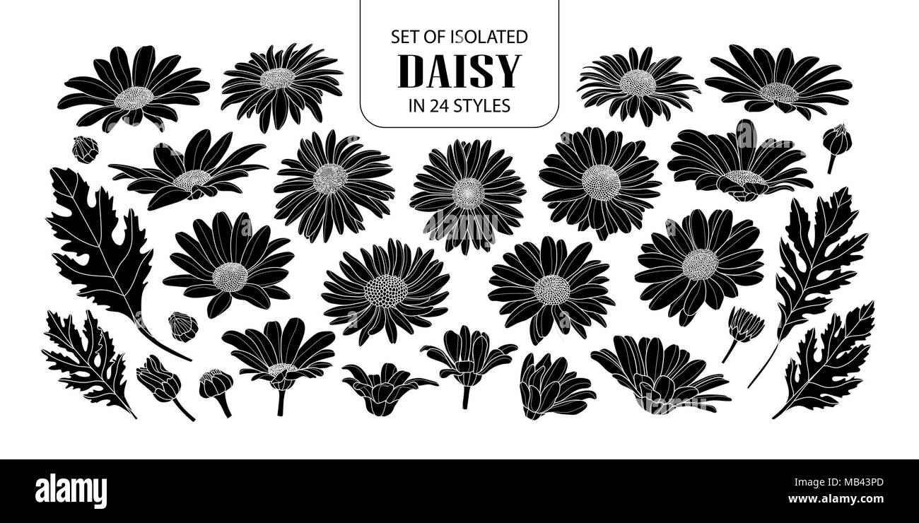 Eingestellt von isolierten Silhouette daisy In 24 Arten. Süße Hand gezeichnet Blume Vector Illustration in weißer Umriss und schwarzen Flugzeug auf weißem Hintergrund. Stock Vektor