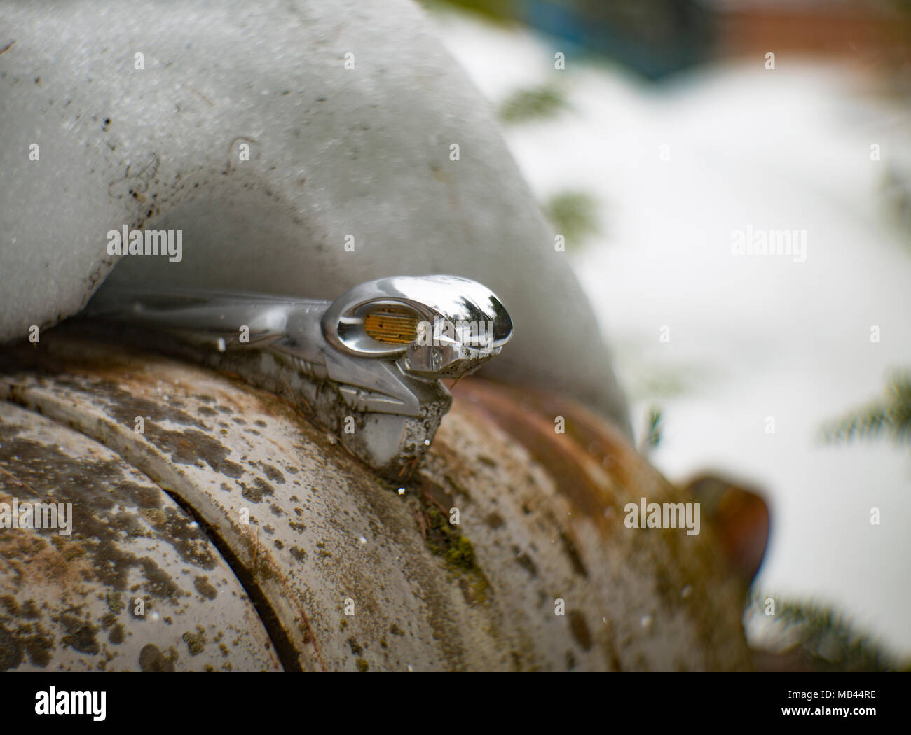Eine alte, teilweise verkrusteten Dodge Ram Kühlerfigur auf der Motorhaube eines schneebedeckten 1950er Dodge Pickup Truck, Noxon, Montana, USA. Dieses Bild war sho Stockfoto