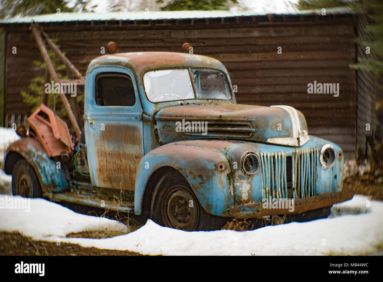 Eine alte, blau 1946 Ford Abschleppwagen, auf der Seite einer Scheune, in der Noxon, Montana. Stockfoto