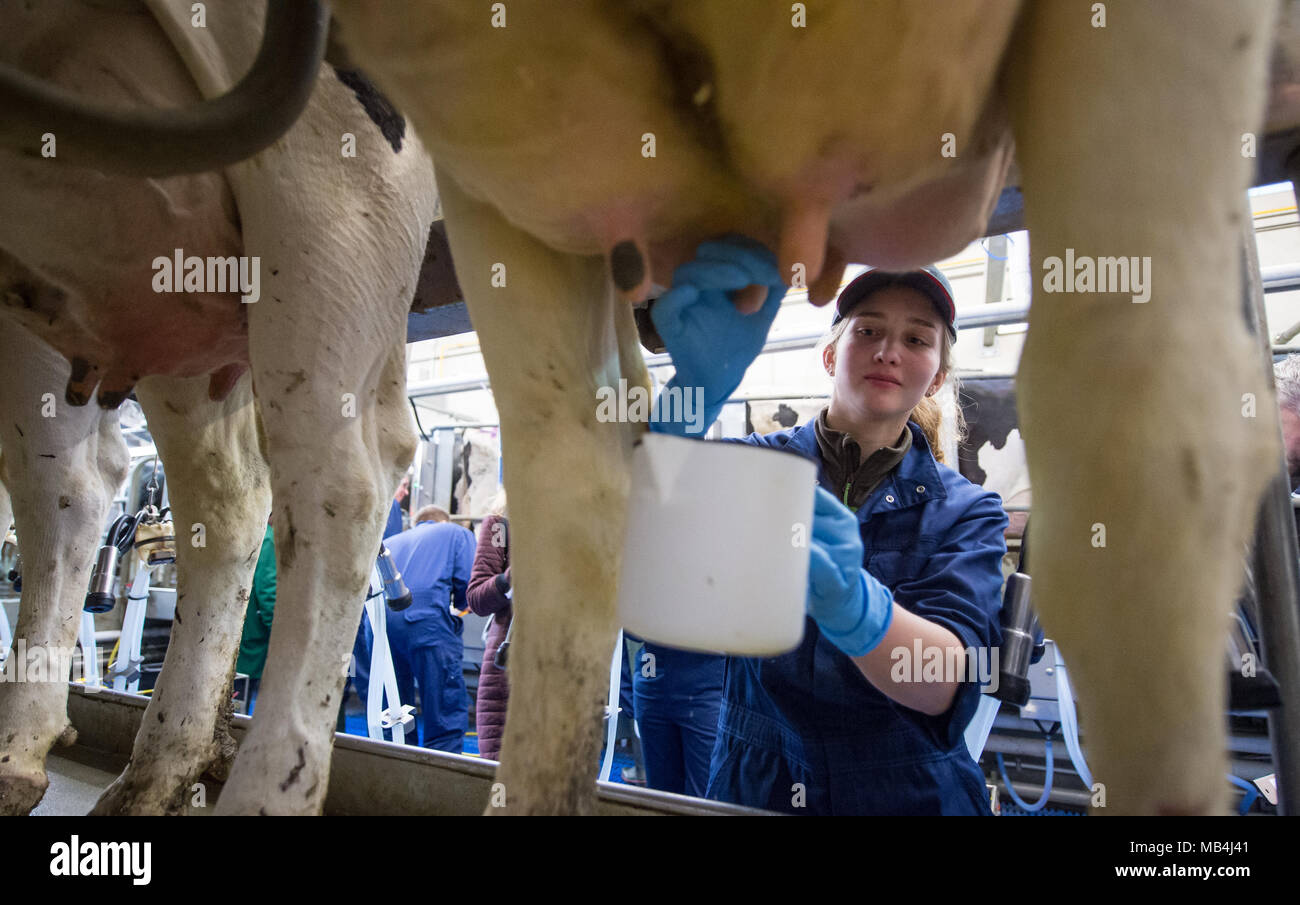 Melk meine dicken Euter ab Melk meine dicken Euter ab