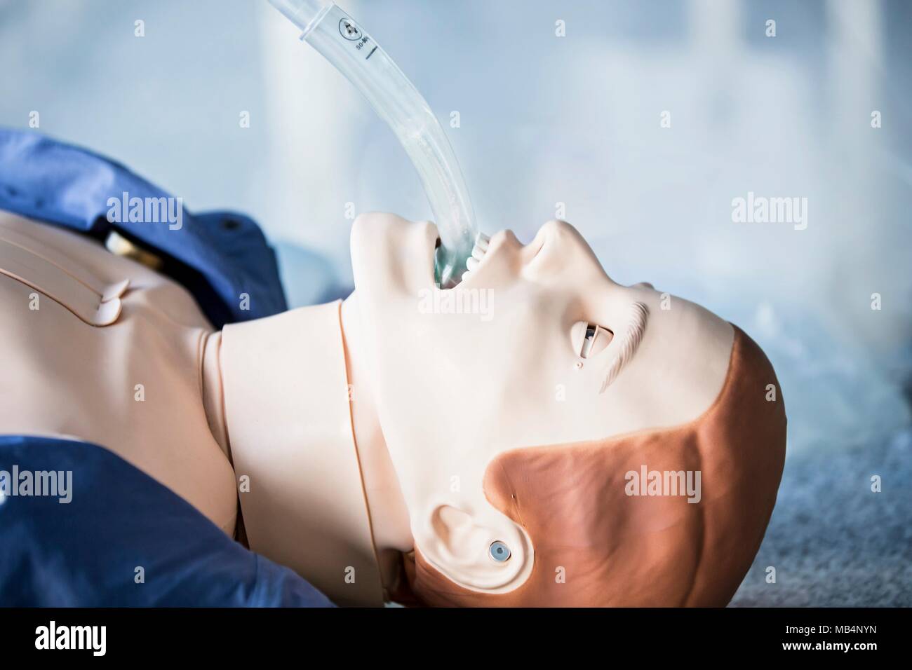 Intubation trainingspuppe. Stockfoto