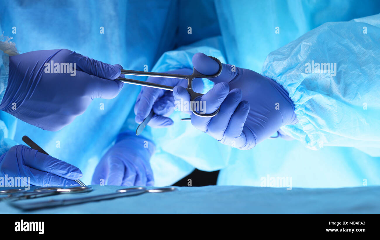 Chirurgen Hände halten chirurgische Scheren und chirurgischen Geräten, close-up. Gesundheits- und Veterinärwesen Konzept. Stockfoto