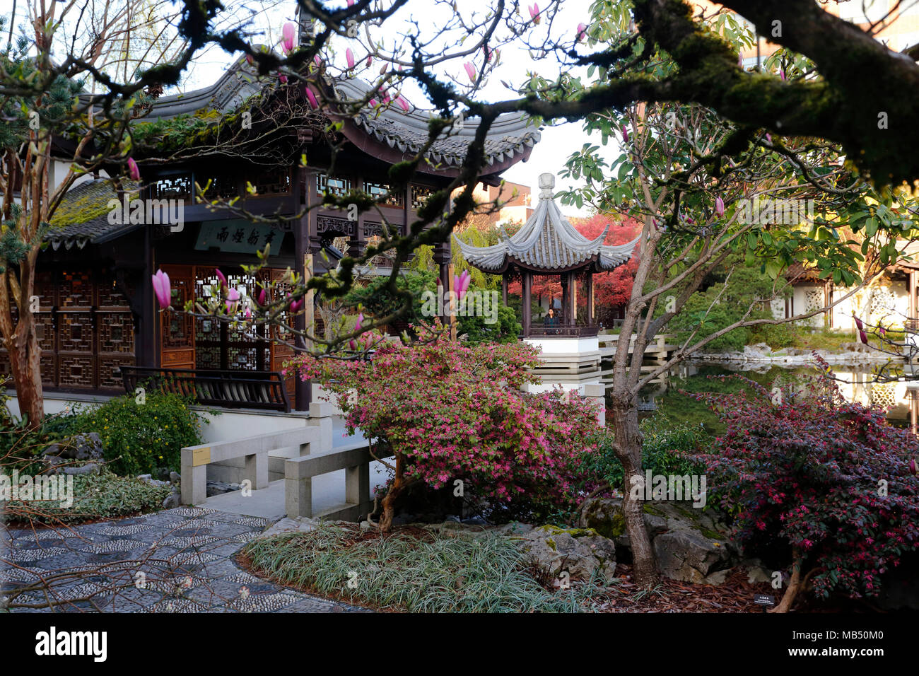 Lan Su Chinesischer Garten, 239 NW Everett St, Portland, OR. Innenraum eines Chinesischen Gartens in der Innenstadt von Portland. Stockfoto