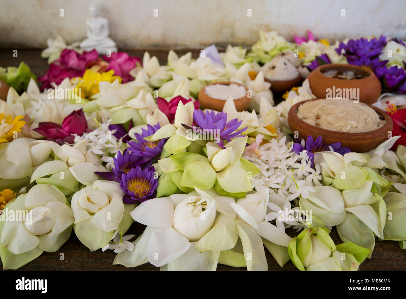 Horizontale Nahaufnahme von Blumen auf dem Altar Jaya Sri Maha Bodhi in Anuradhapura, Sri Lanka. Stockfoto