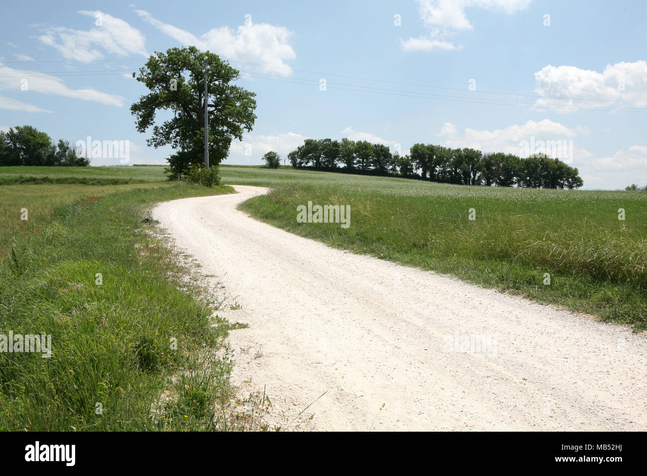 Schmutzige Straße in die Berge Stockfoto