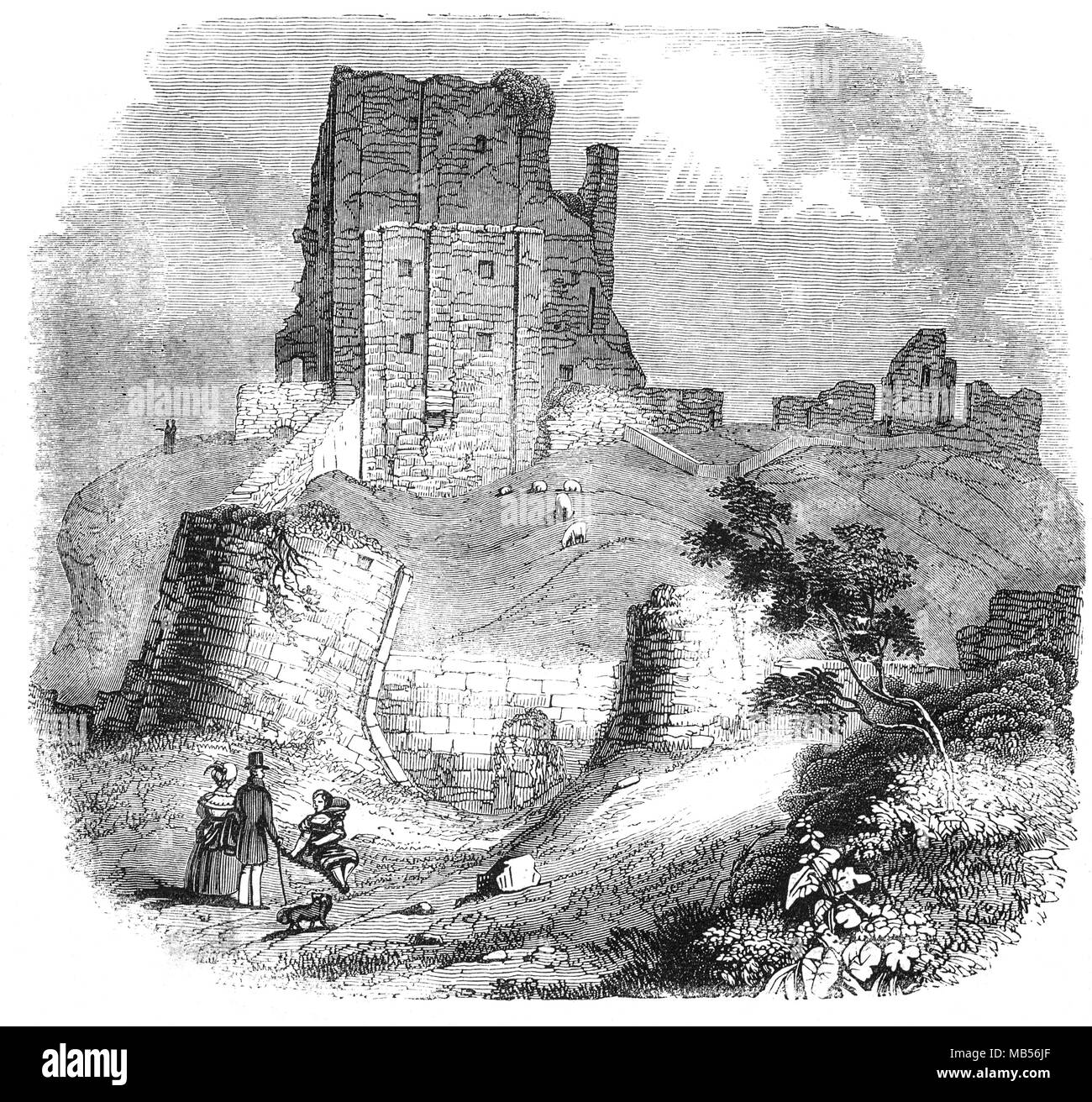 Corfe Castle ist eine Festung über dem Dorf gleichen Namens auf der Isle of Purbeck in der englischen Grafschaft Dorset. Von Wilhelm dem Eroberer, die Burg stammt aus dem 11. Jahrhundert und Befehle eine Lücke in der Purbeck Hills auf der Strecke zwischen Wareham und Swanage gebaut. Die Burg erlebte große strukturelle Veränderungen im 12. und 13. Jahrhundert. Stockfoto