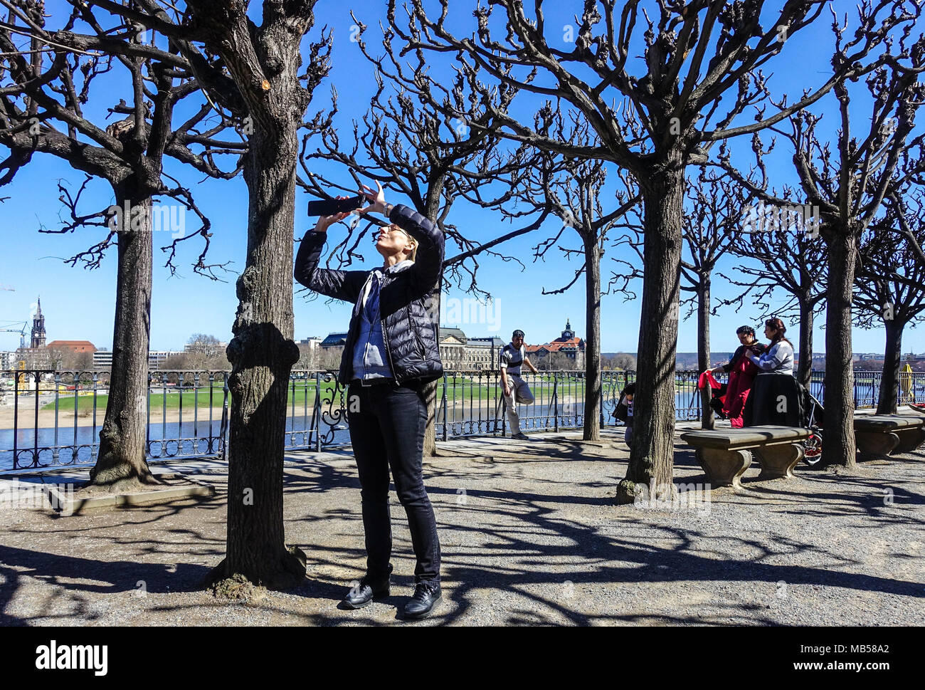 Dresden Tourist Dresden Brühls Terrasse Dresden Sachsen, Deutschland Europa Frühlingslandschaft Elbe Fluss Frühling April Bäume Brühler Terrasse Touristen Stockfoto