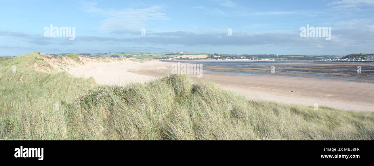 Sanddünen im Sommer, Krähe Punkt Devon, Großbritannien Stockfoto
