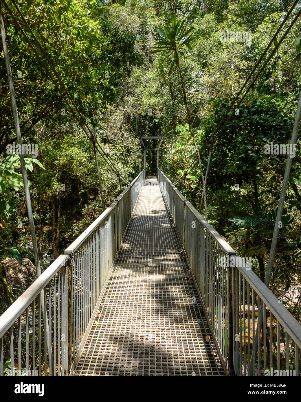Eine Brücke auf dem Weg, führt rund um Mossman Gorge, Queensland Stockfoto