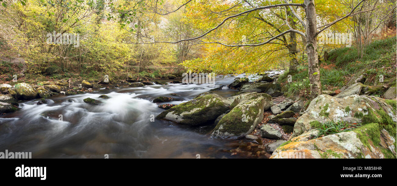 Herbst Osten lynn River in der Nähe von watersmeet Exmoor Somerset uk Stockfoto