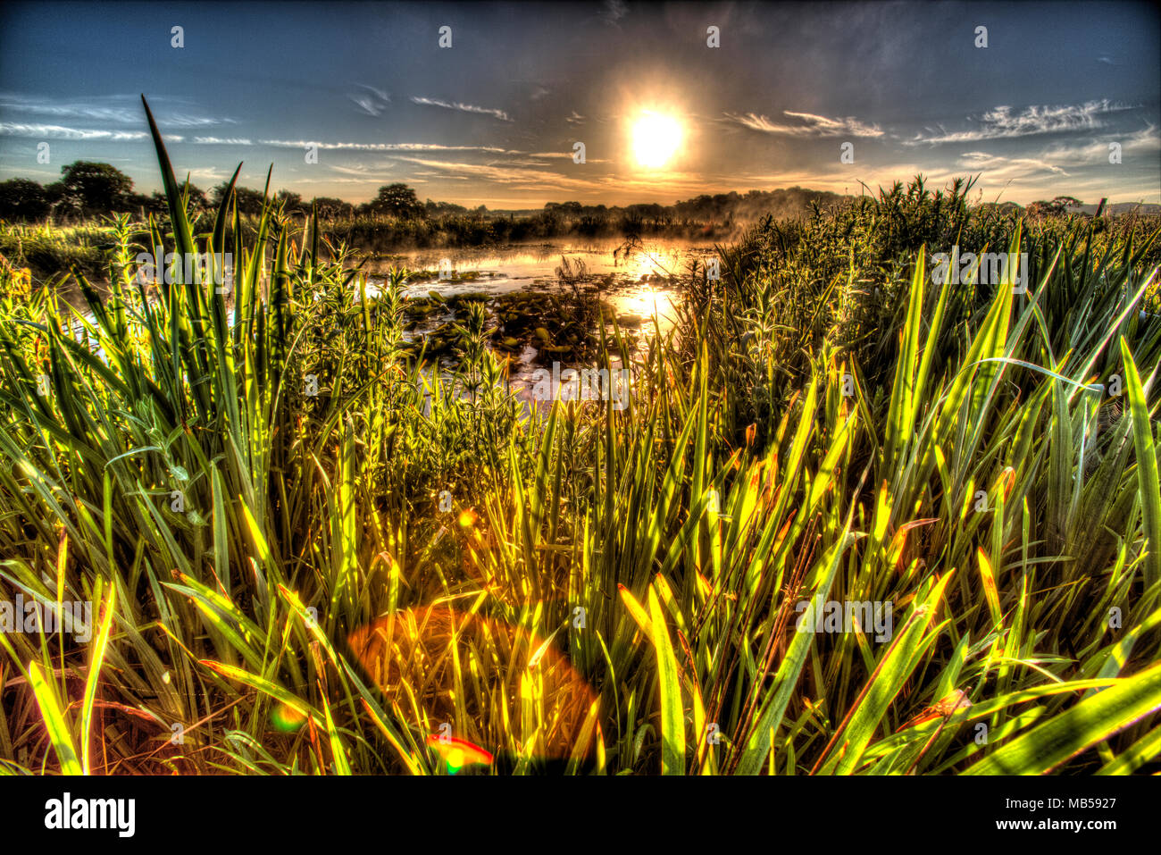 Dorf von Coddington, England. Künstlerische sonnenaufgang Blick auf ein Süßwasser-Teich in einem Cheshire Landwirtschaft Feld. Stockfoto