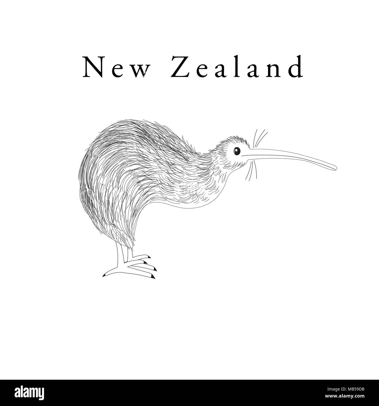 Vektorgrafiken Symbol für Neuseeland Kiwi Vogel auf weißem Hintergrund Stock Vektor