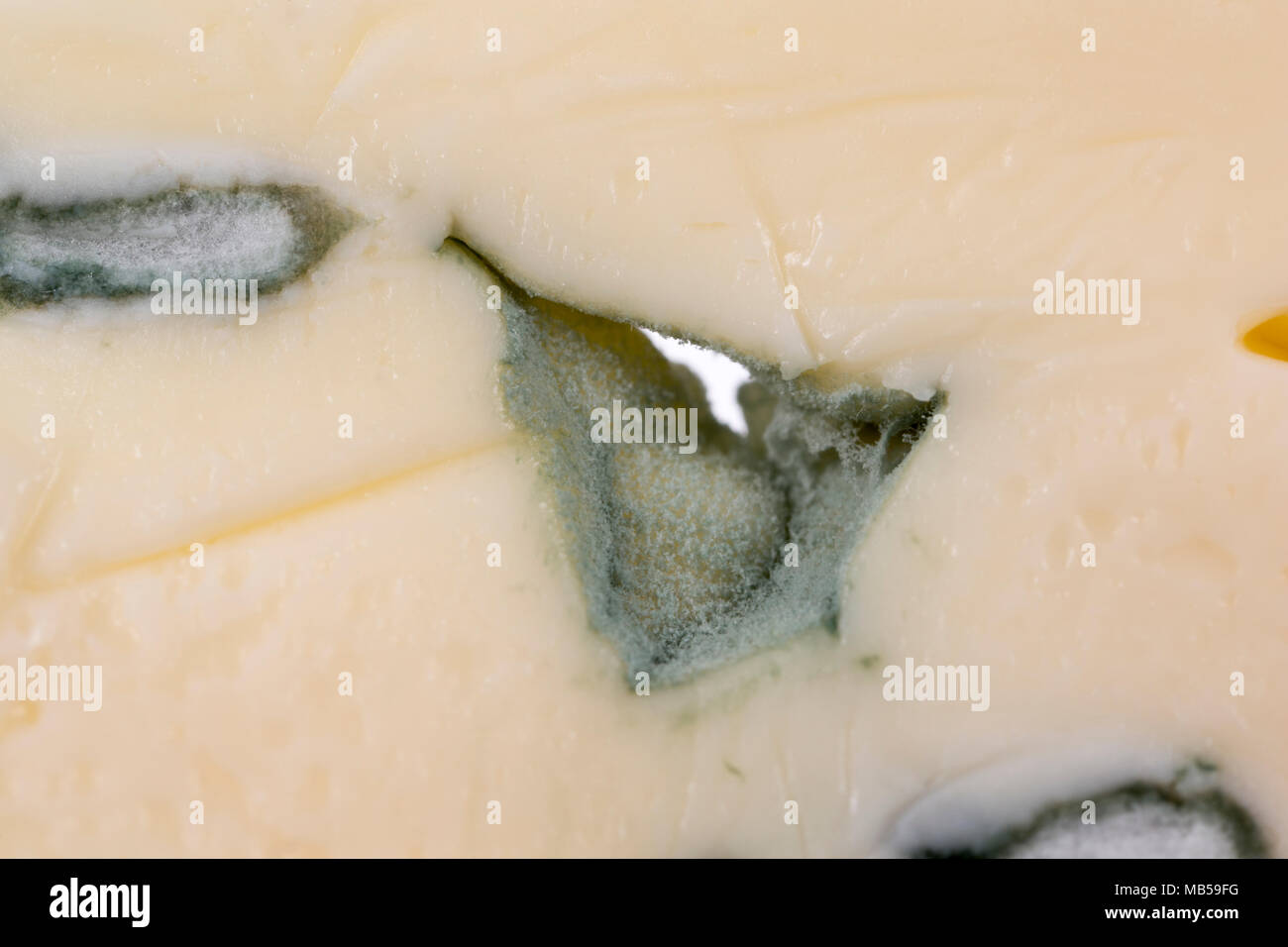 In der Nähe der deutschen Weichkäse cambozola und die Form der Aromen. Großbritannien Stockfoto