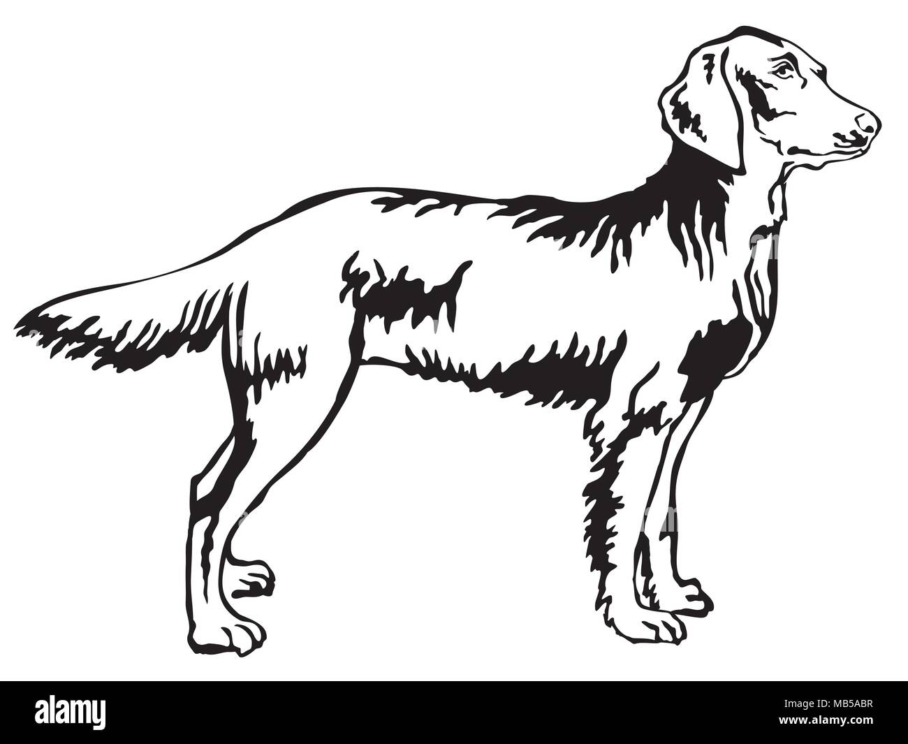 Dekorative Portrait von ständigen im Profil langhaar Weimaraner, Vektor isoliert Abbildung in schwarz auf weißem Hintergrund Stock Vektor