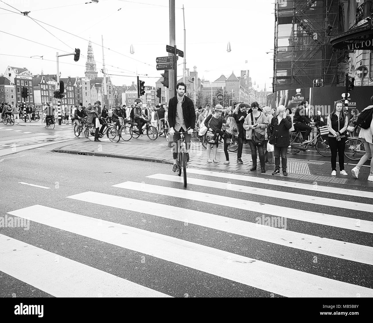 AMSTERDAM, NIEDERLANDE - 22 SEPTEMBER 2017; Mobile Perspektive Radfahrer in gestreiften T-Shirt Fahrten über zebrastreifen während Fußgänger für die Lichter auf c warten Stockfoto