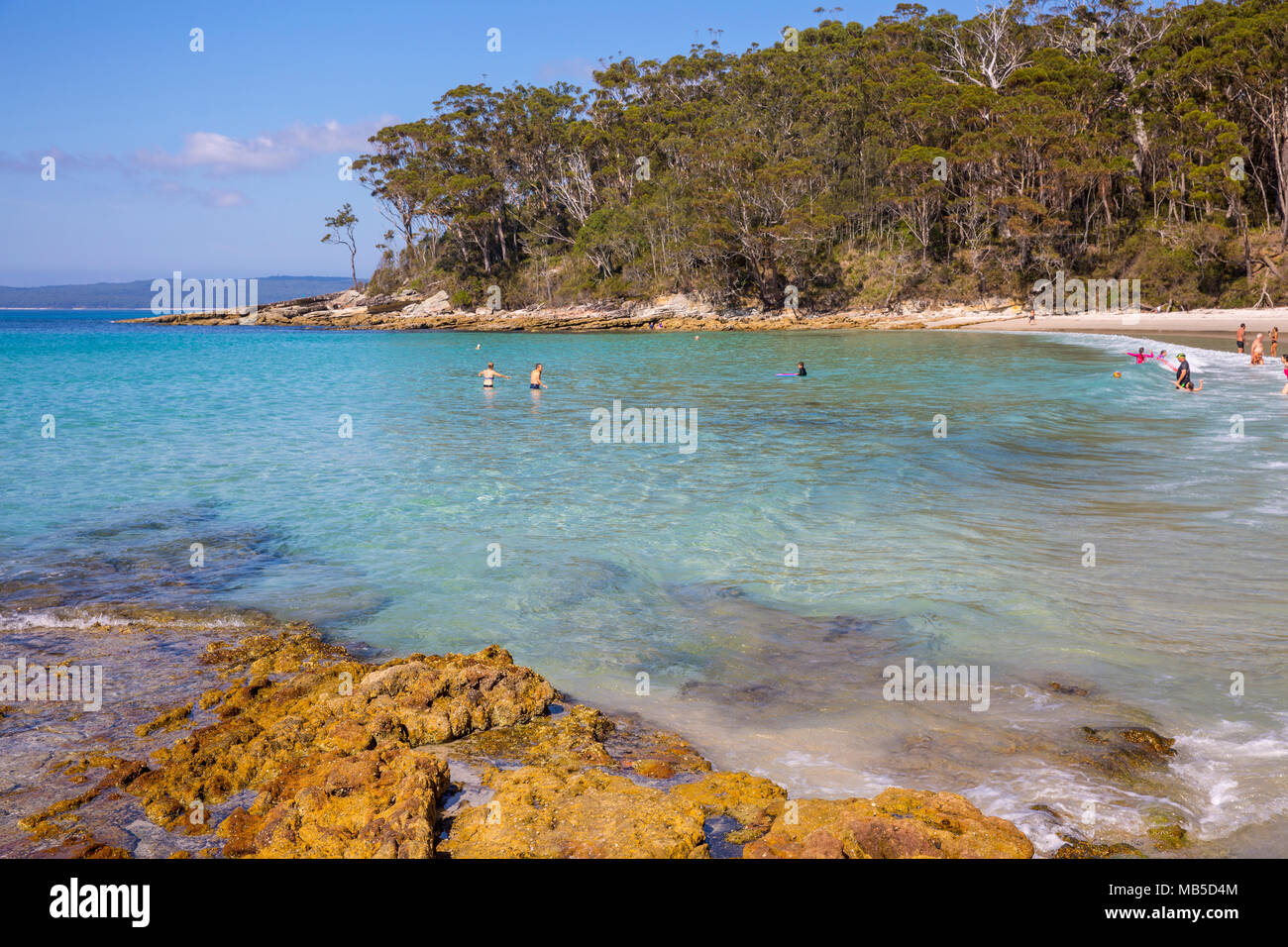 Blenheim Strand in Jervis Bay, beliebter Strand zum Schnorcheln und Schwimmen, New South Wales, Australien Stockfoto