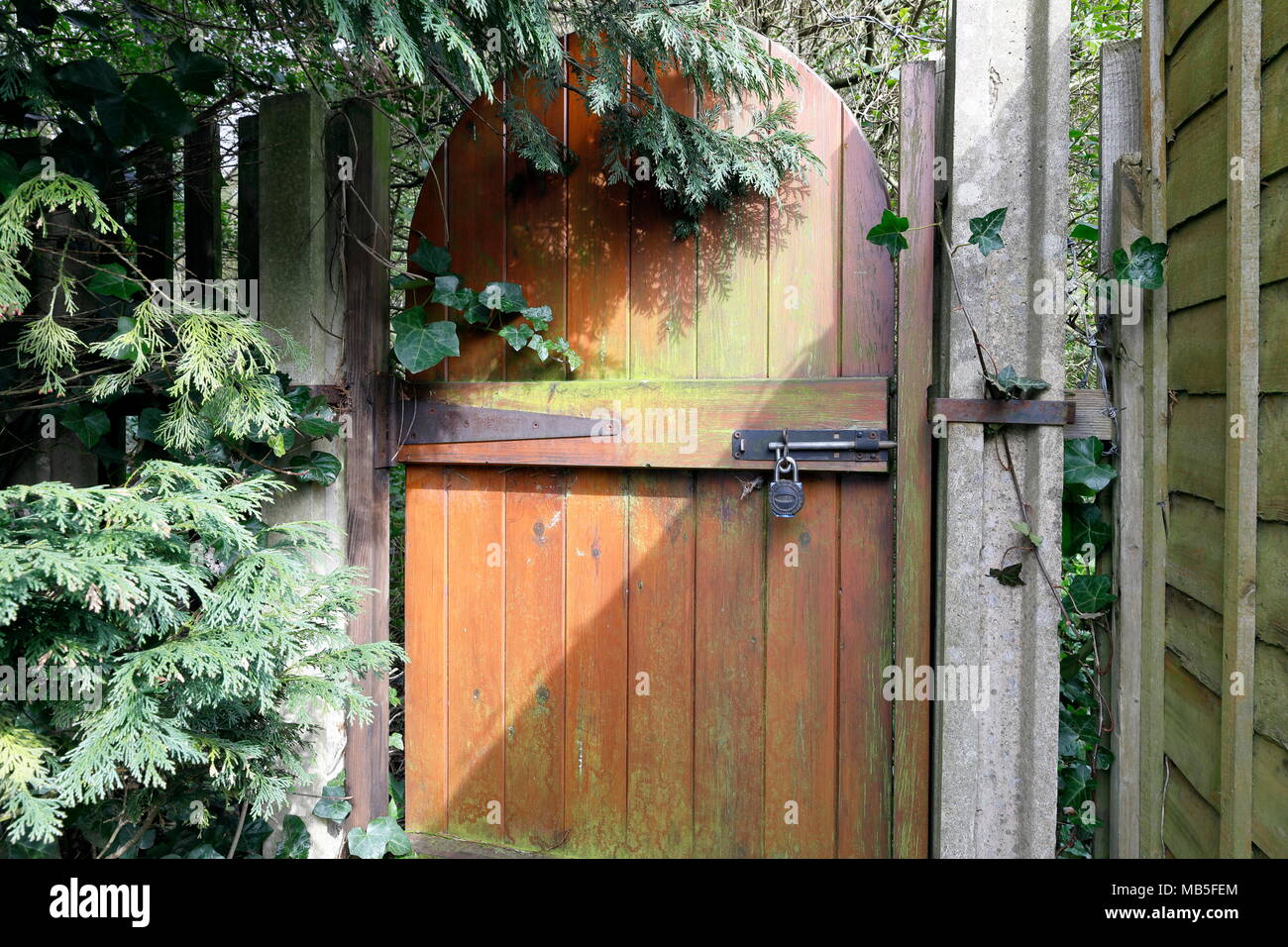 Mit einem Vorhängeschloss Garden Gate Stockfoto