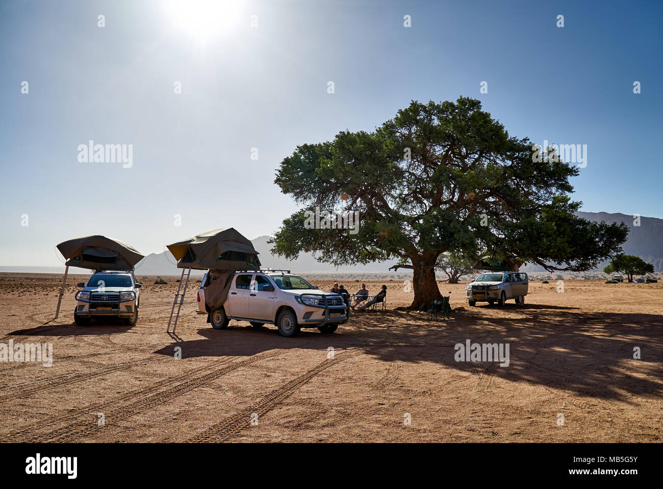 Drei Autos der Self Drive Touristen Camping unter einem Baum in einer ruhigen Landschaft auf der Farm Namtib, Namibia, Afrika Stockfoto