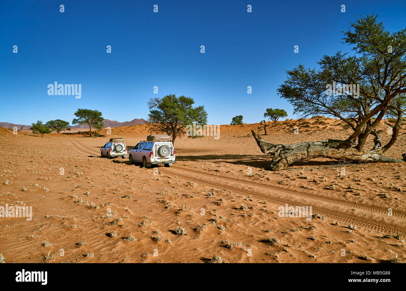 Zwei 4x4 Autos der Touristen selfdriving Fahrt durch die Dünen von einsame Wüstenlandschaft des NamibRand Nature Reserve, Namibia, Afrika Stockfoto