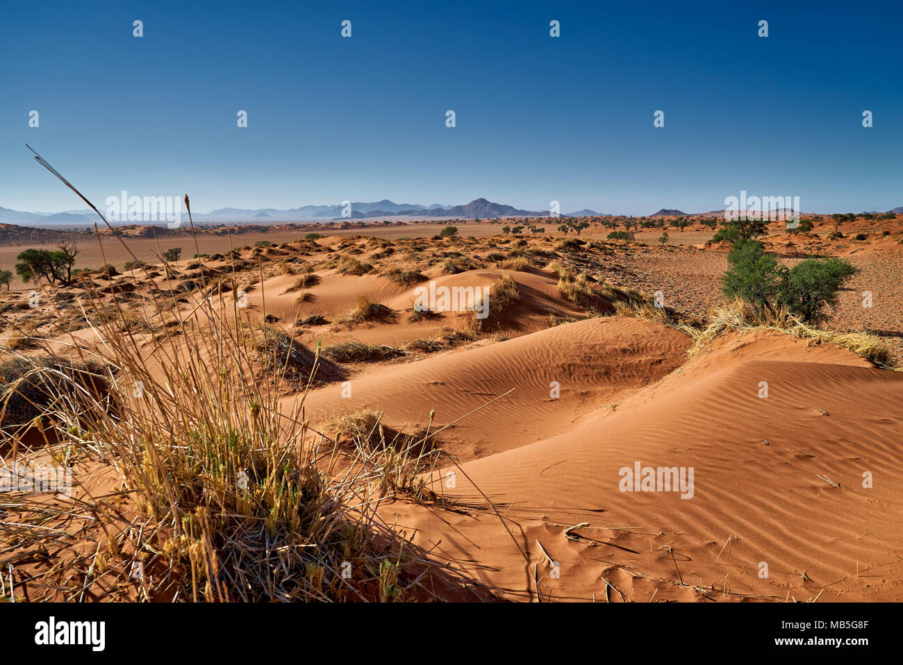 Einsame Landschaft des NamibRand Nature Reserve, Namibia, Afrika Stockfoto