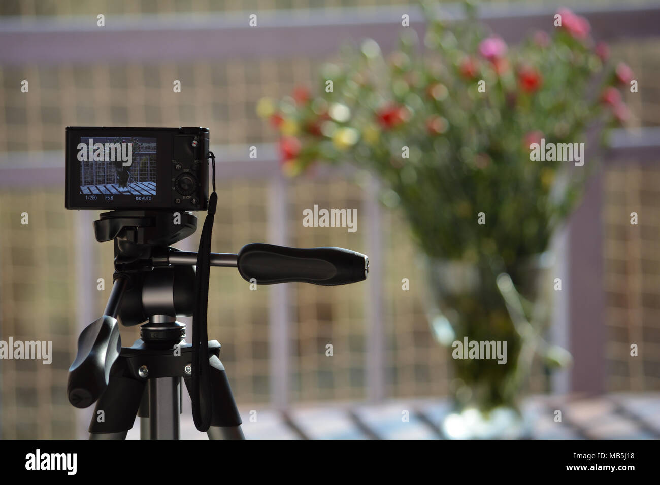 Vase mit Blumen durch das Objektiv einer Kamera Stockfoto