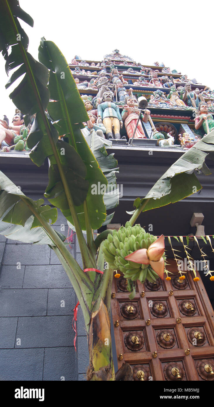 Singapur - APR 3 2015: Majestic Eingang des Sri Mariamman Tempel mit bunten Schnitzereien auf dem Dach und eine Bananenstaude. Stockfoto