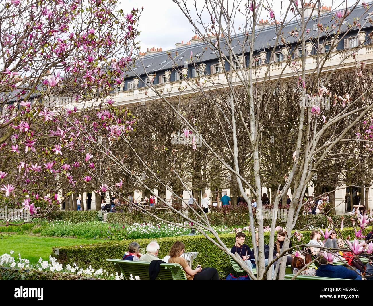 Die Menschen in den Gärten des Palais-Royal an einem sonnigen Nachmittag im April, 1. Arrondissement. Paris, Frankreich. Stockfoto