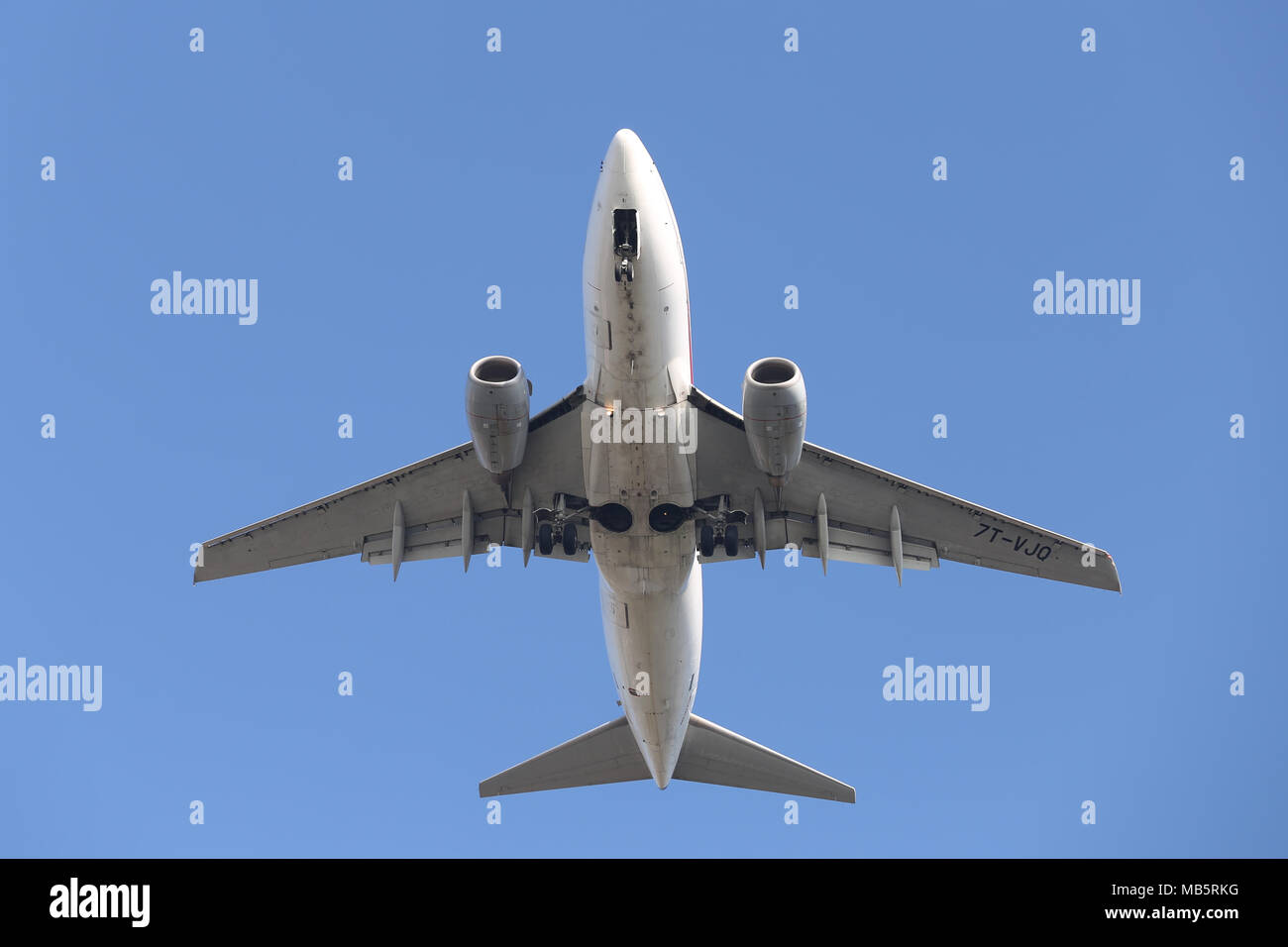 ISTANBUL, Türkei - 06 Januar, 2018: Air Algerie Boeing 737-6 D6 (CN 30209) Landung Flughafen Istanbul Atatürk. Air Algerie ist die nationale Fluggesellschaft der Stockfoto