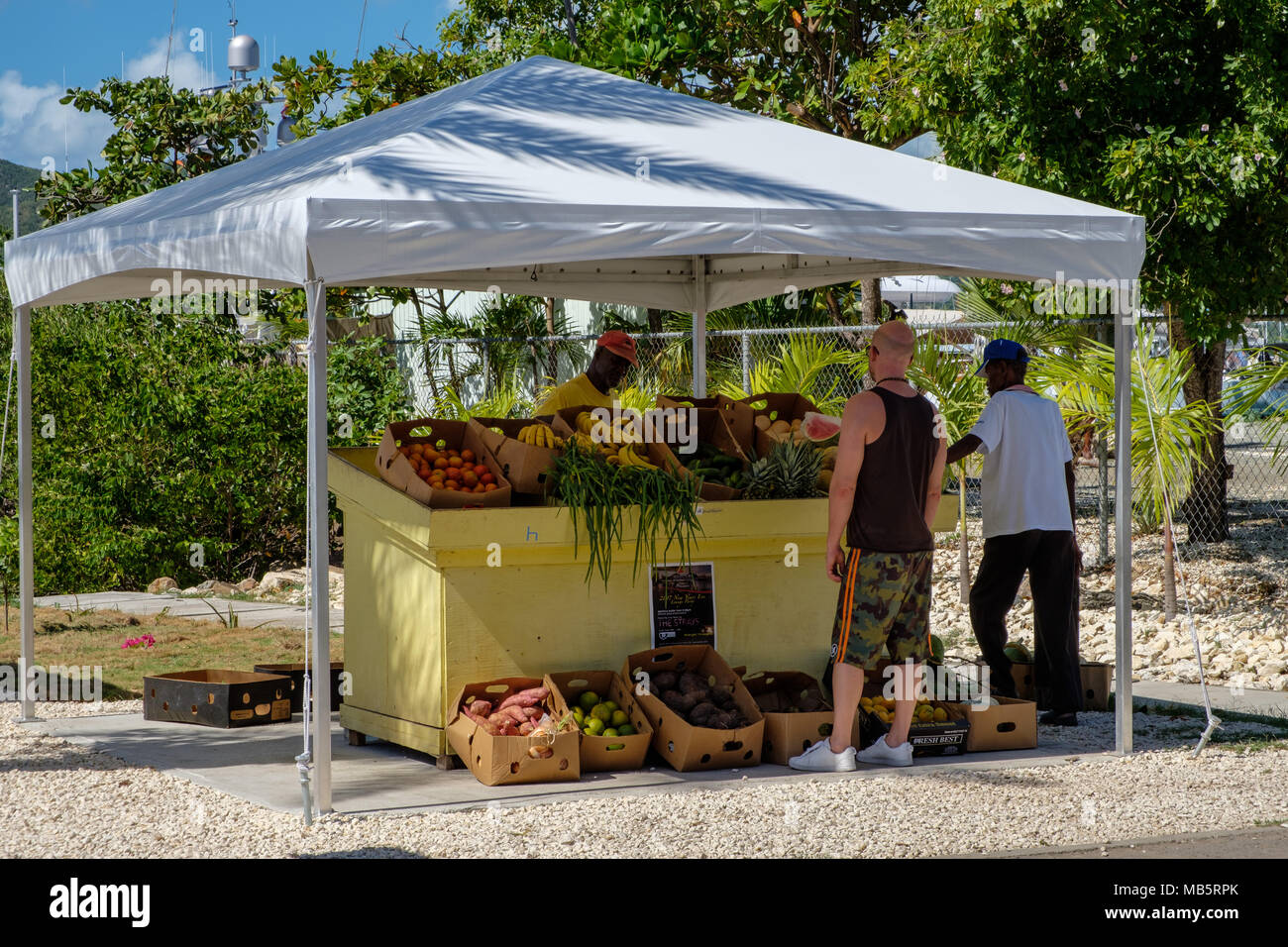Obst und Gemüse Anbieter, Falmouth, Antigua Stockfoto