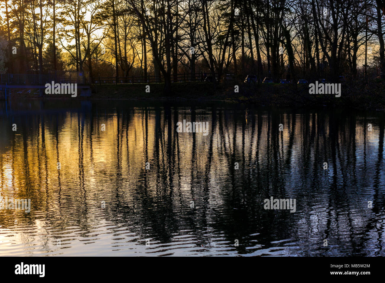 Die Sonne hinter einer Reihe von Bäumen, die Schaffung einer Silhouette und Reflexionen auf dem See. Stockfoto