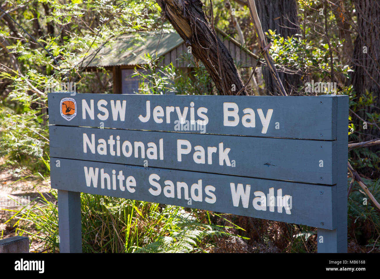 Start des White Sands an Hyams Beach in Jervis Bay National Park, New South Wales, Australien Stockfoto