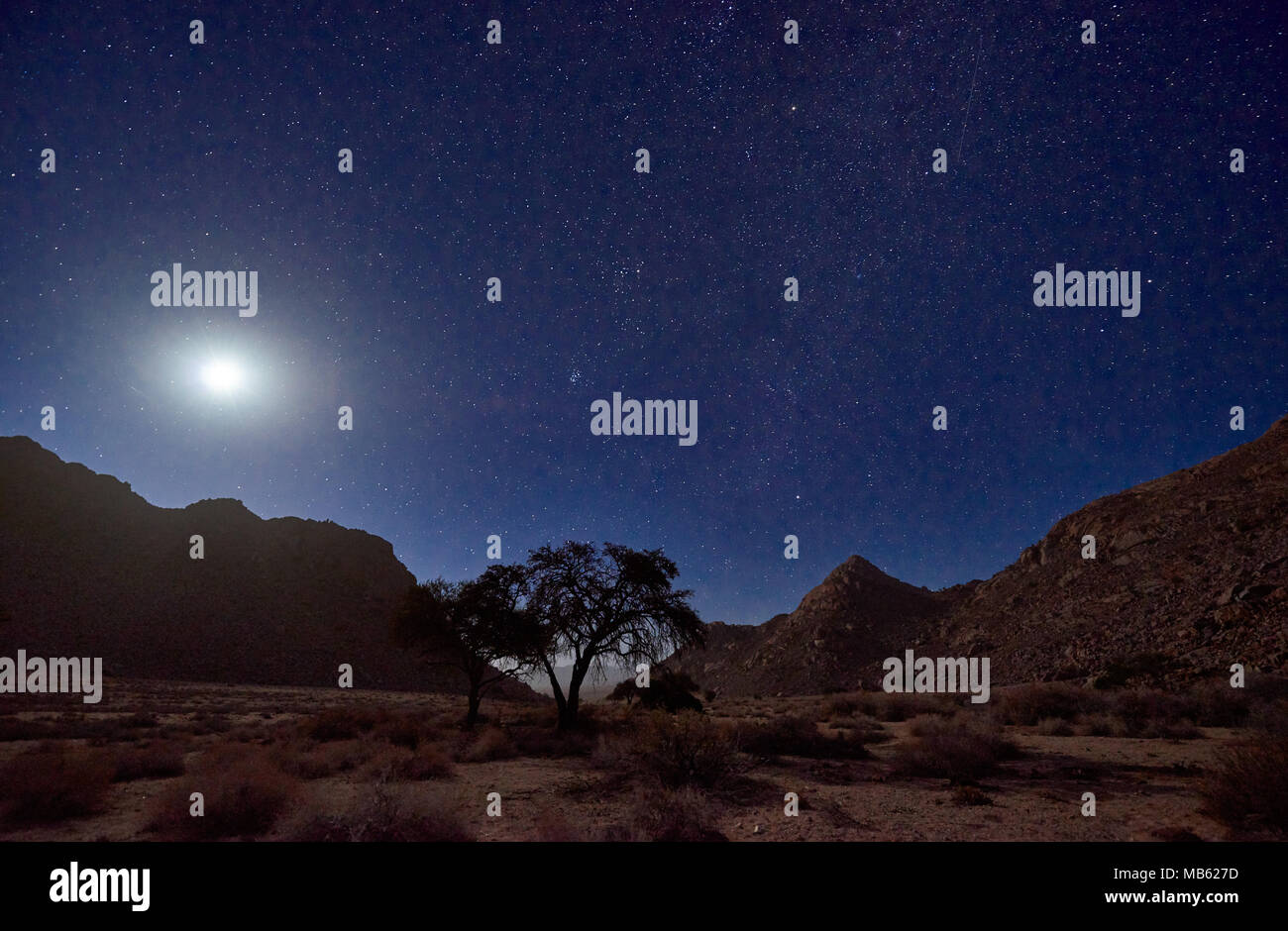 Night Shot von einem Baum mit mondlicht unter Himmel mit Sternen in ruhiger Landschaft auf der Farm Klein-Aus, Geisterschlucht, Namibia, Afrika Stockfoto