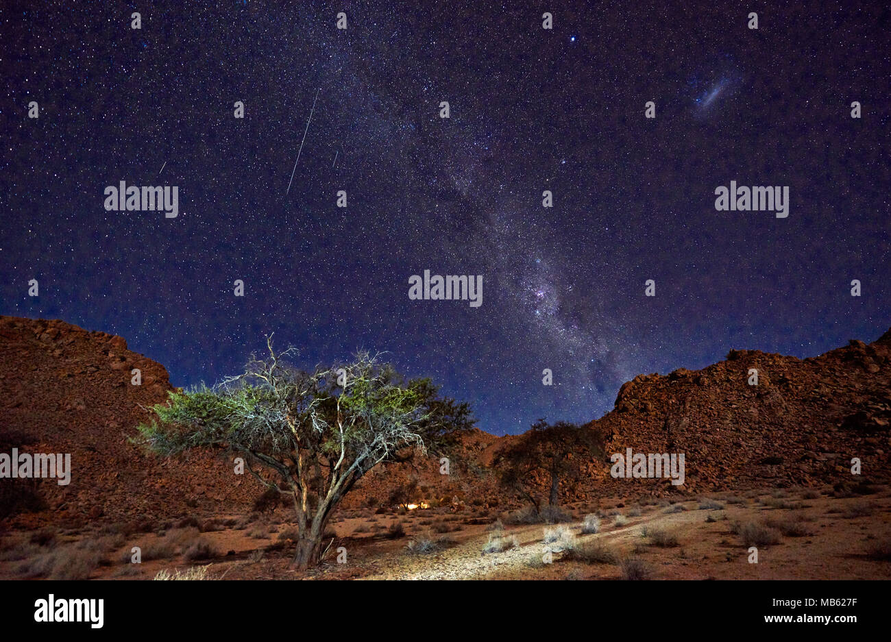 Night Shot von einem Baum mit mondlicht unter Himmel mit Sternen in ruhiger Landschaft auf der Farm Klein-Aus, Geisterschlucht, Namibia, Afrika Stockfoto