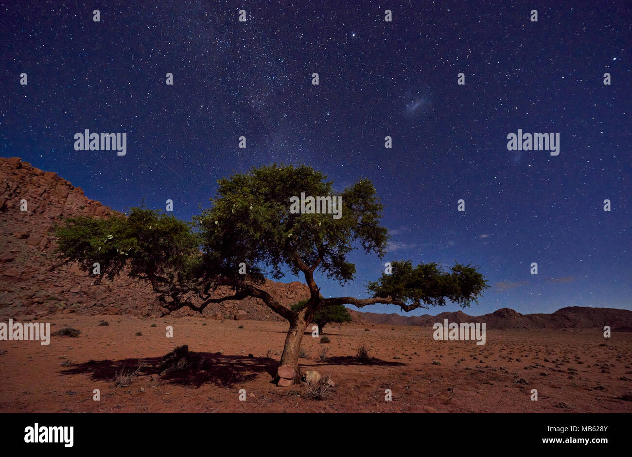 Night Shot von einem Baum mit mondlicht unter Himmel mit Sternen in ruhiger Landschaft auf der Farm Namtib, Tirasberge, Namibia, Afrika Stockfoto