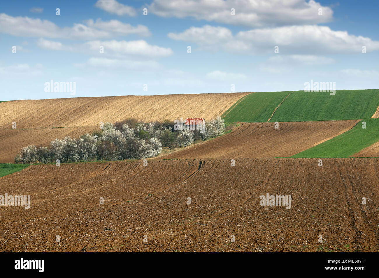 Gepflügten Feldes und Obstgarten Landschaft Landwirtschaft Stockfoto