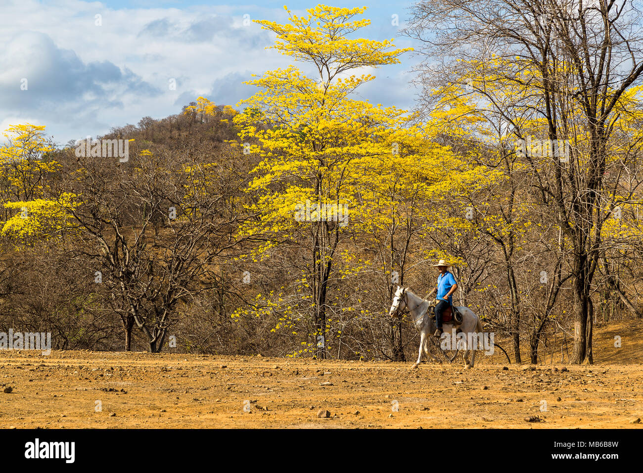 Mangahurco Loja Ecuador 18 Januar 2017 Die Dorfbewohner Der
